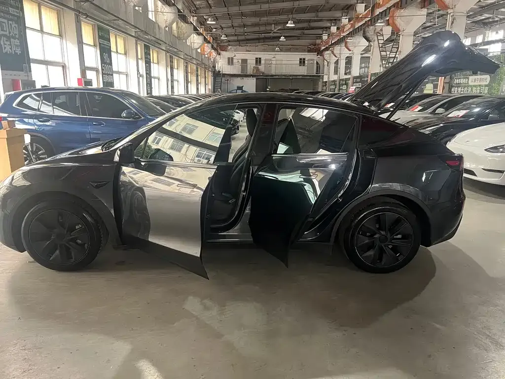 Tesla Model Y — фото 8