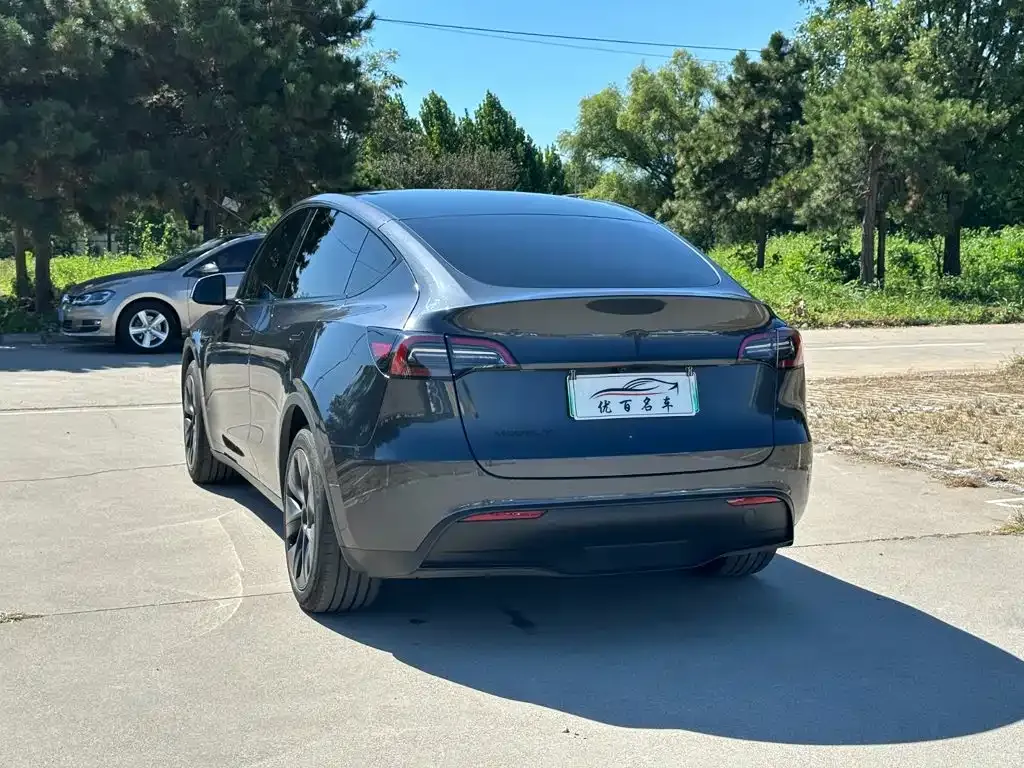 Tesla Model Y — фото 8