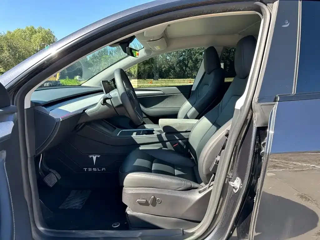 Tesla Model Y — фото 10
