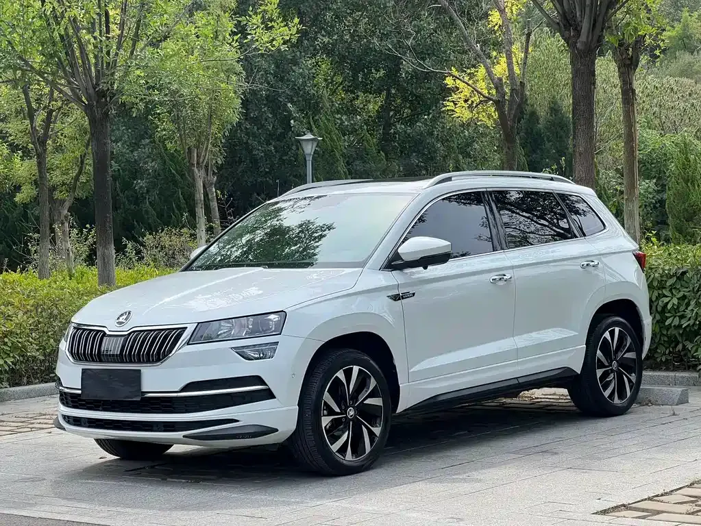 Skoda Karoq — фото 1
