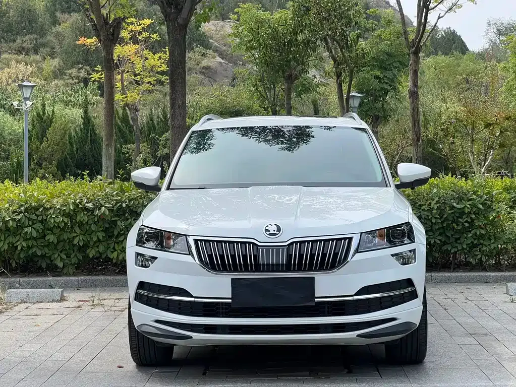 Skoda Karoq — фото 8