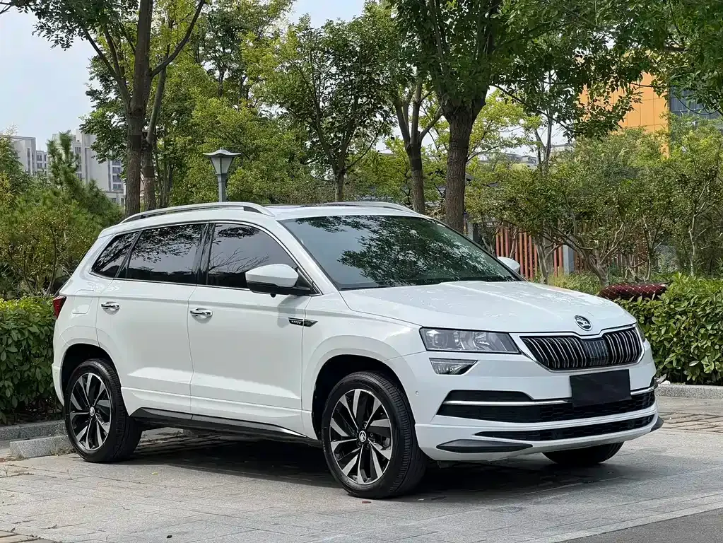 Skoda Karoq — фото 6