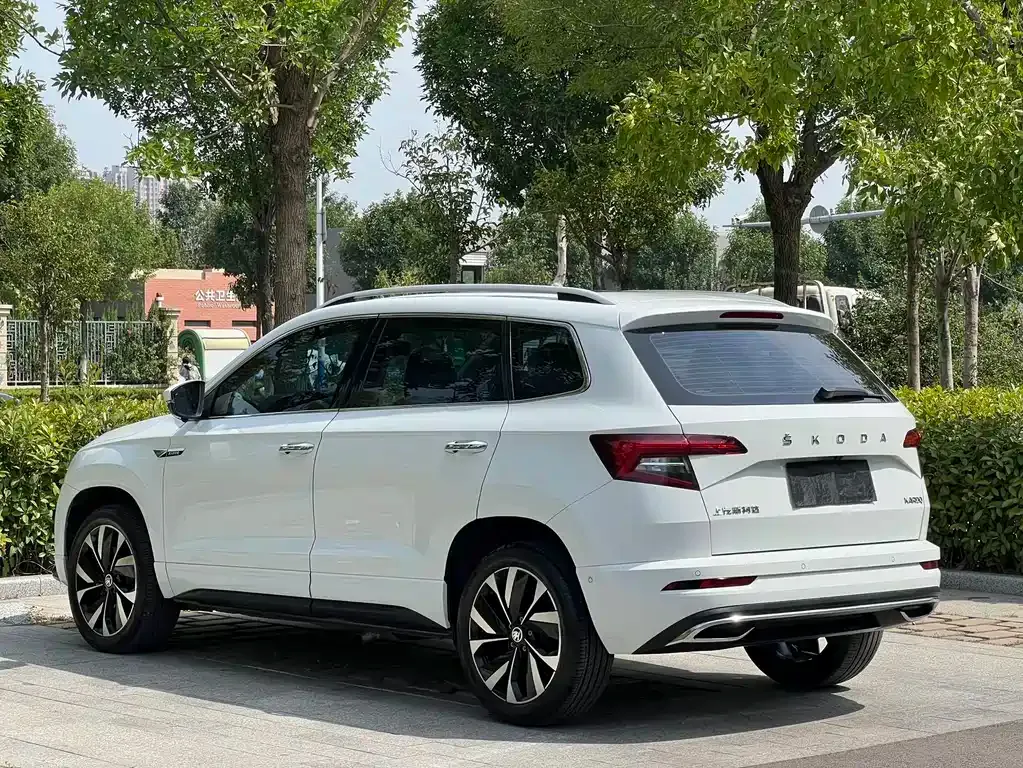 Skoda Karoq — фото 9