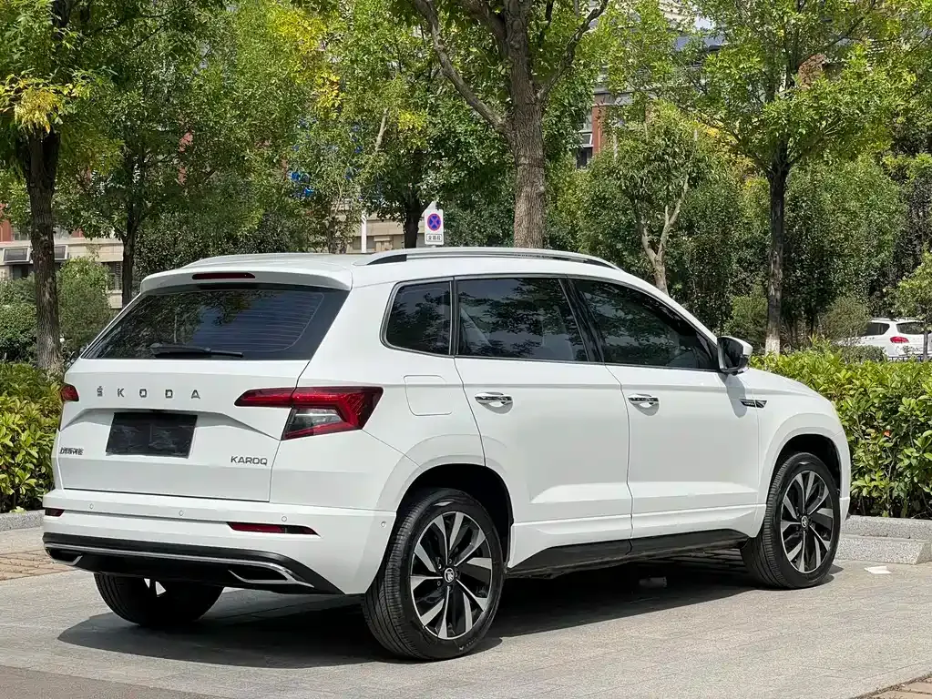 Skoda Karoq — фото 10