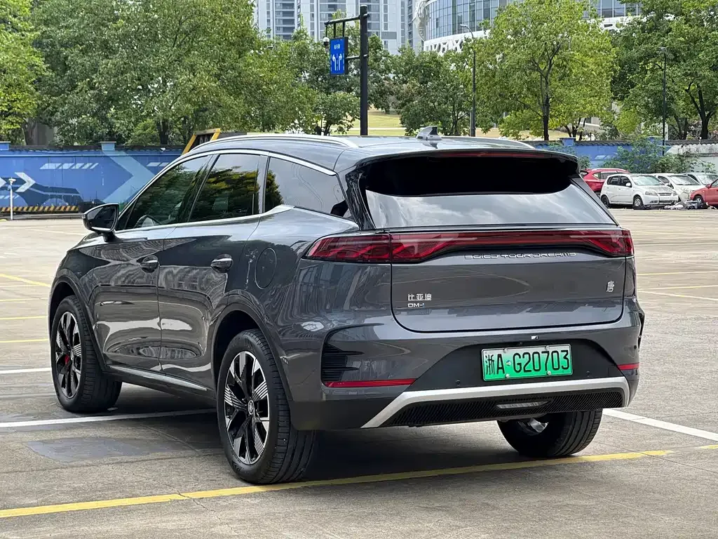 BYD Tang New Energy — фото 8