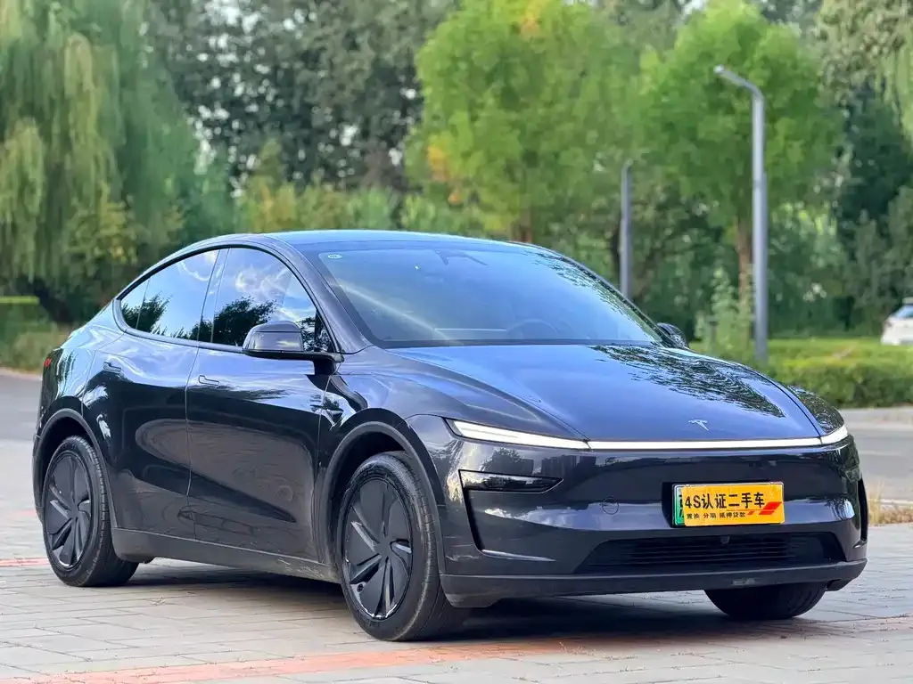 Tesla Model Y — фото 5