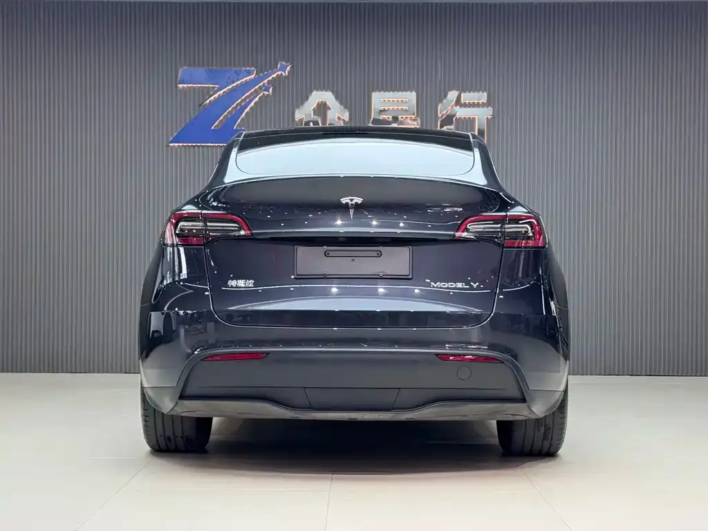 Tesla Model Y — фото 8