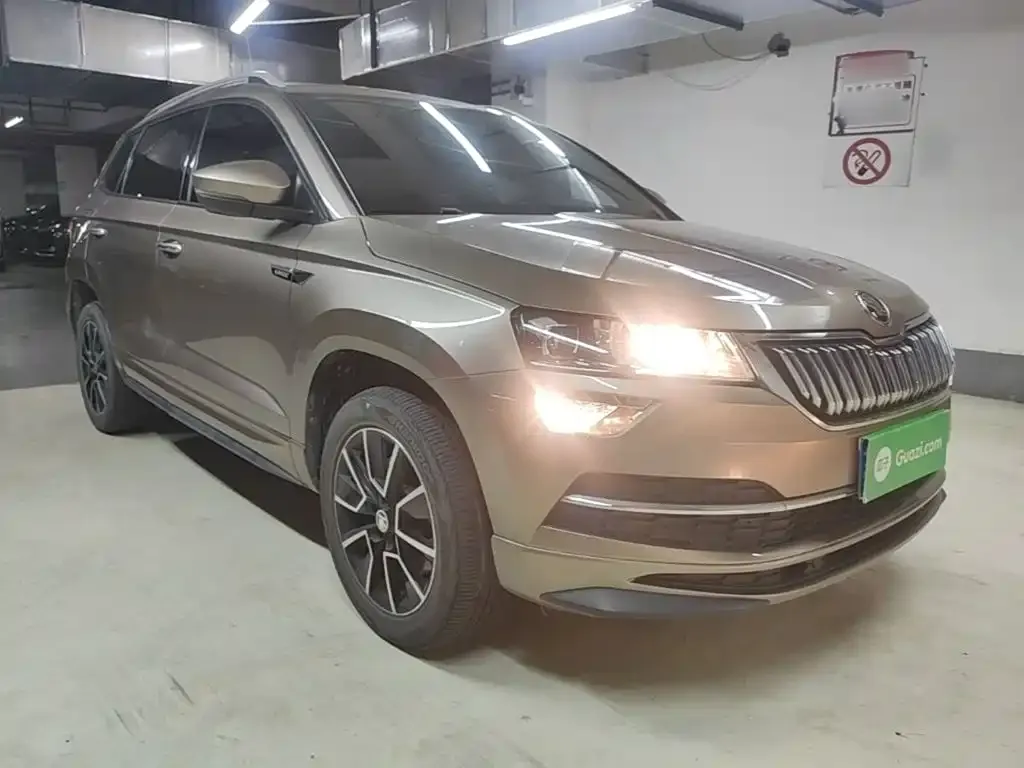 Skoda Karoq — фото 7
