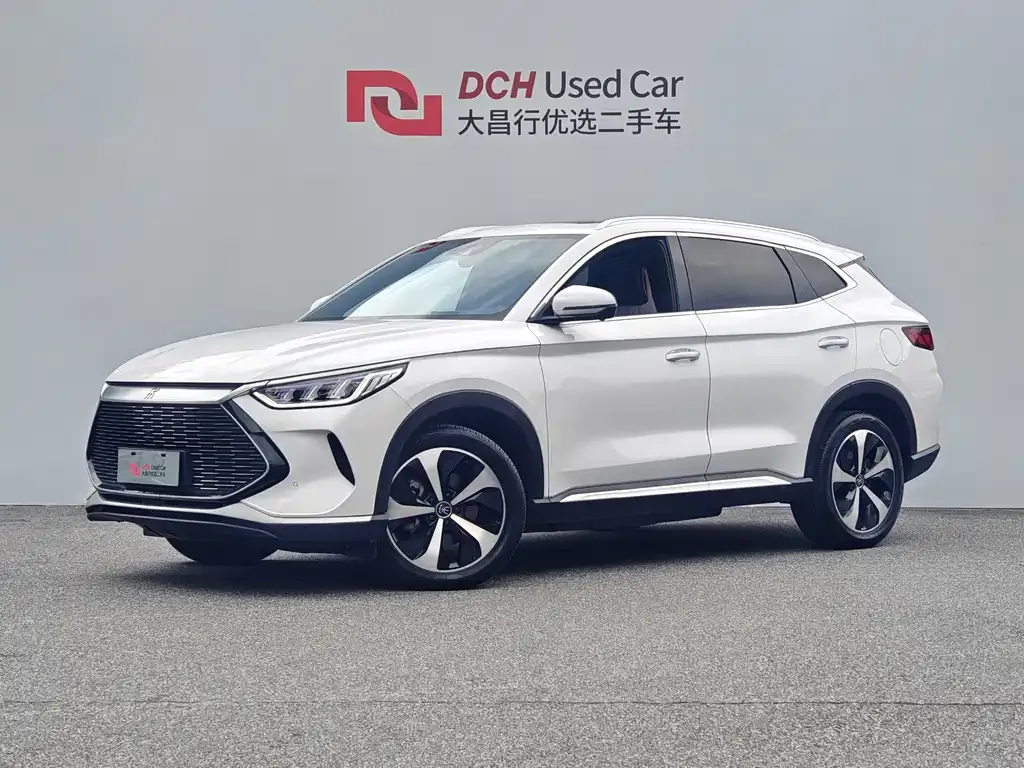 BYD PLUS New Energy — фото 1