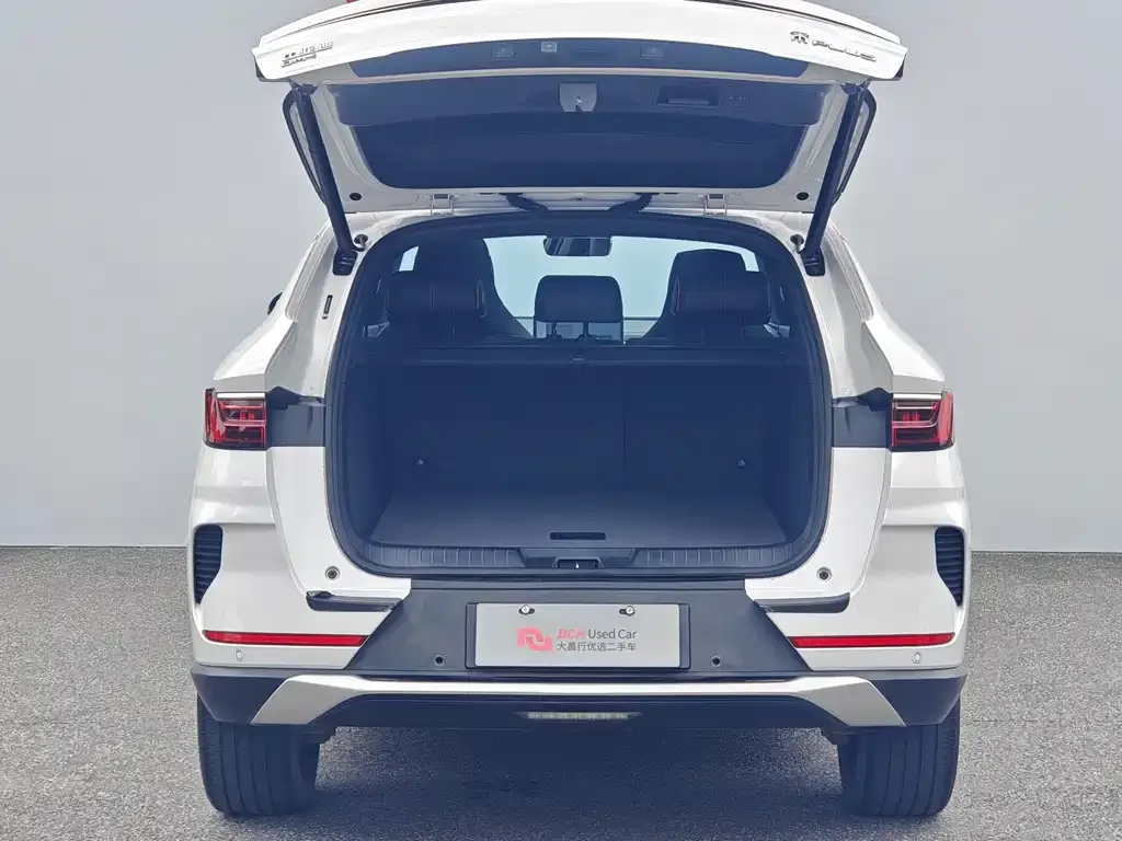 BYD PLUS New Energy — фото 2