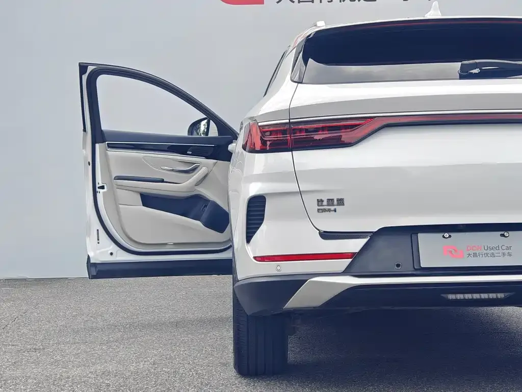 BYD PLUS New Energy — фото 6
