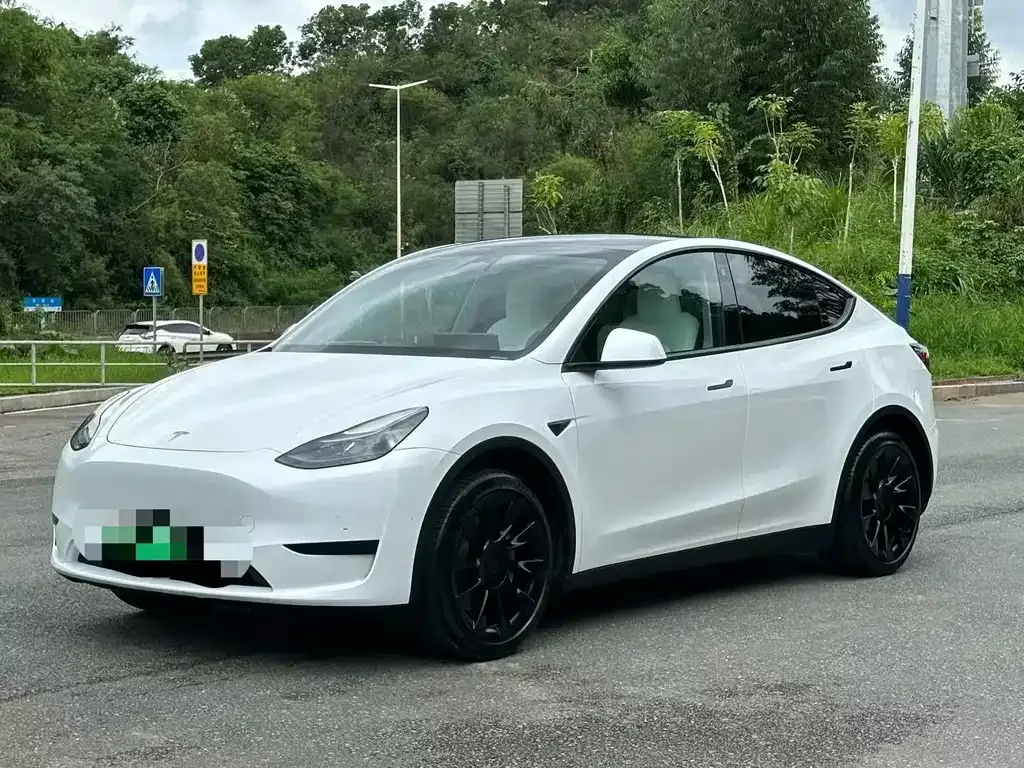 Tesla Model Y — фото 1