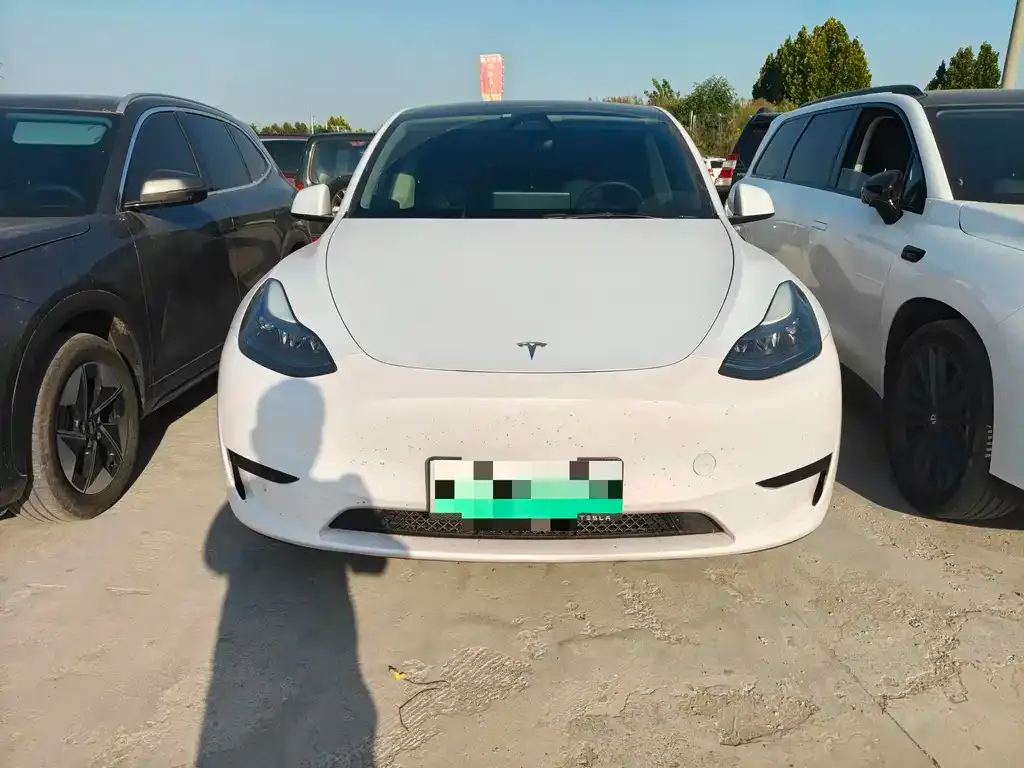 Tesla Model Y — фото 3