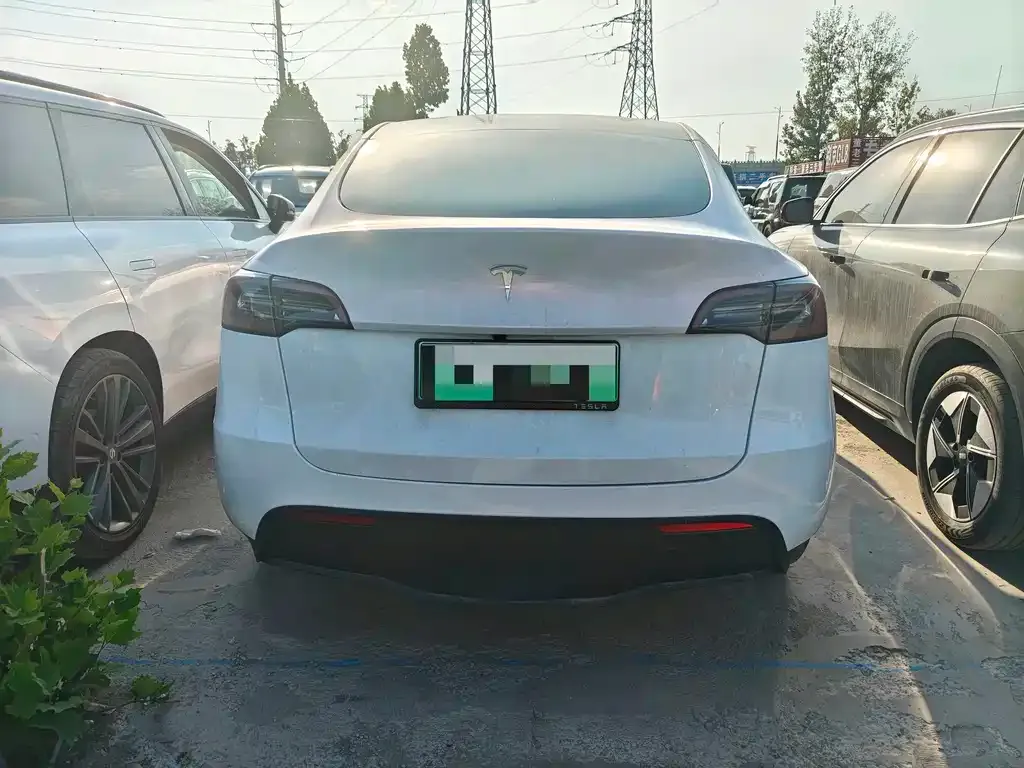Tesla Model Y — фото 2