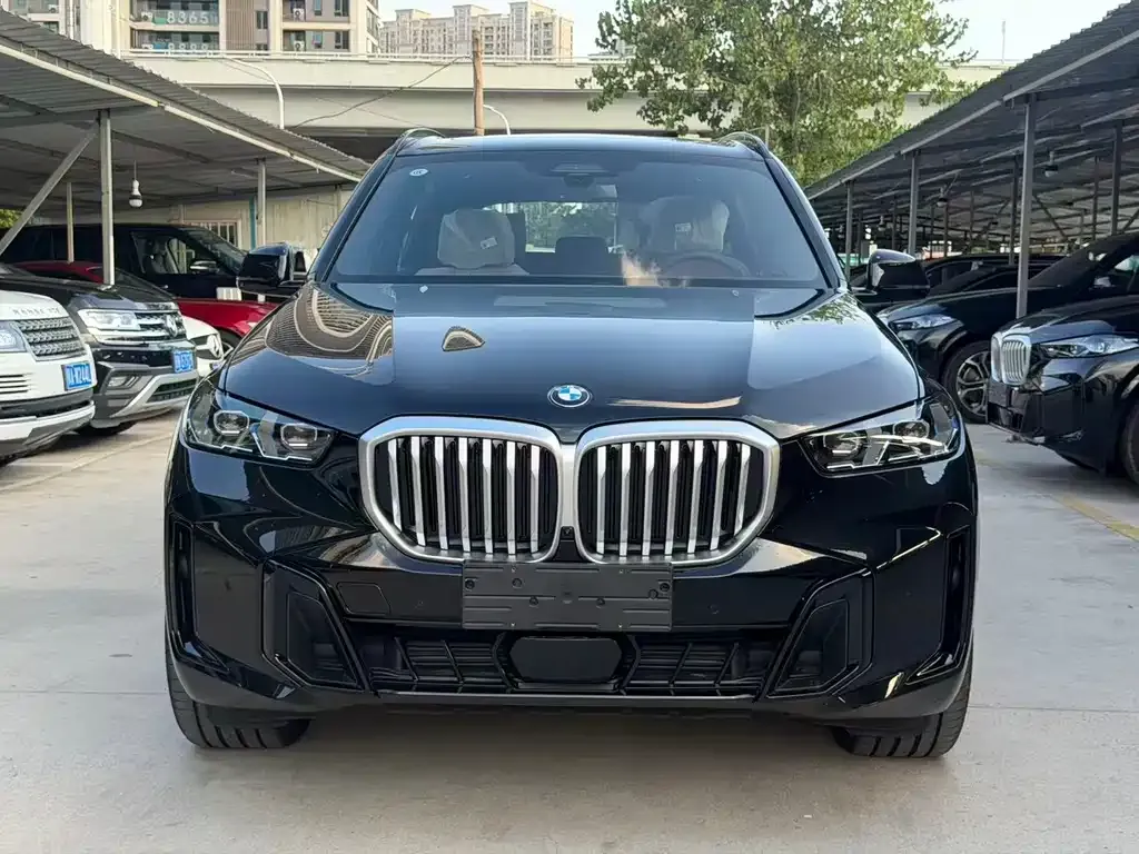 BMW X5 — фото 5