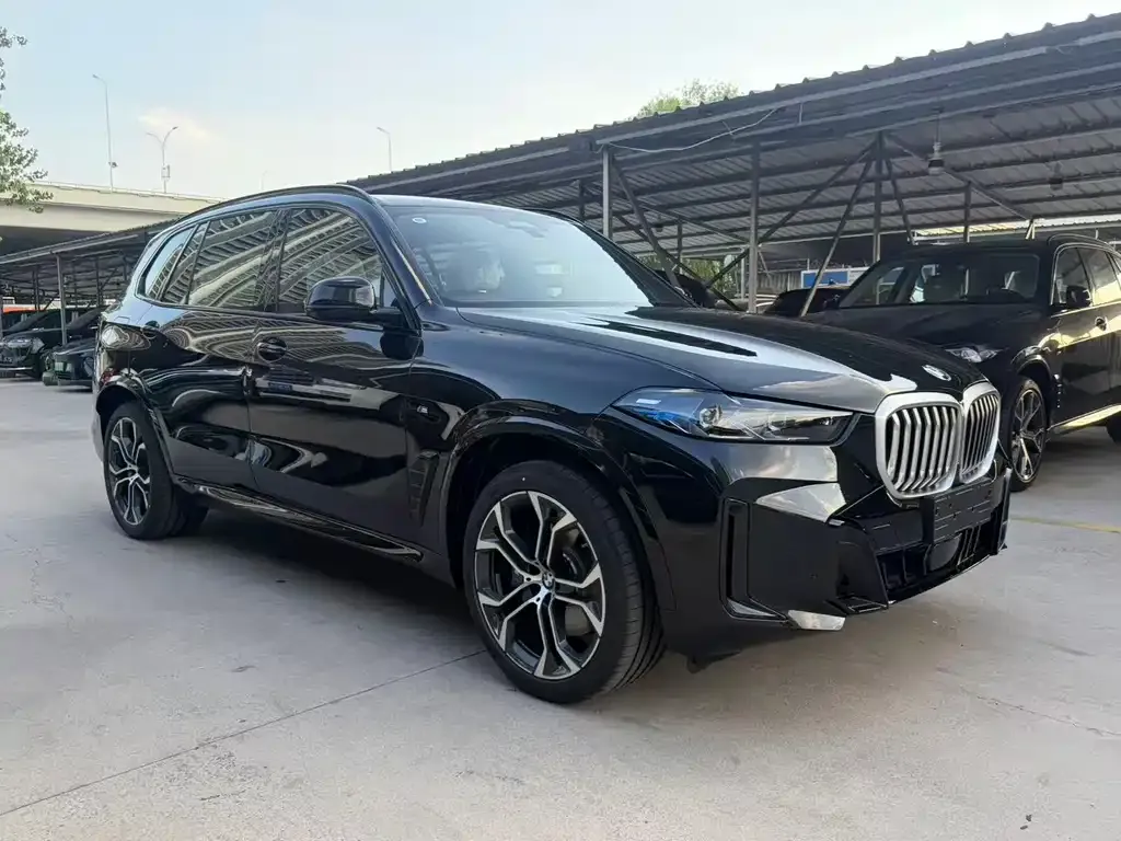 BMW X5 — фото 10