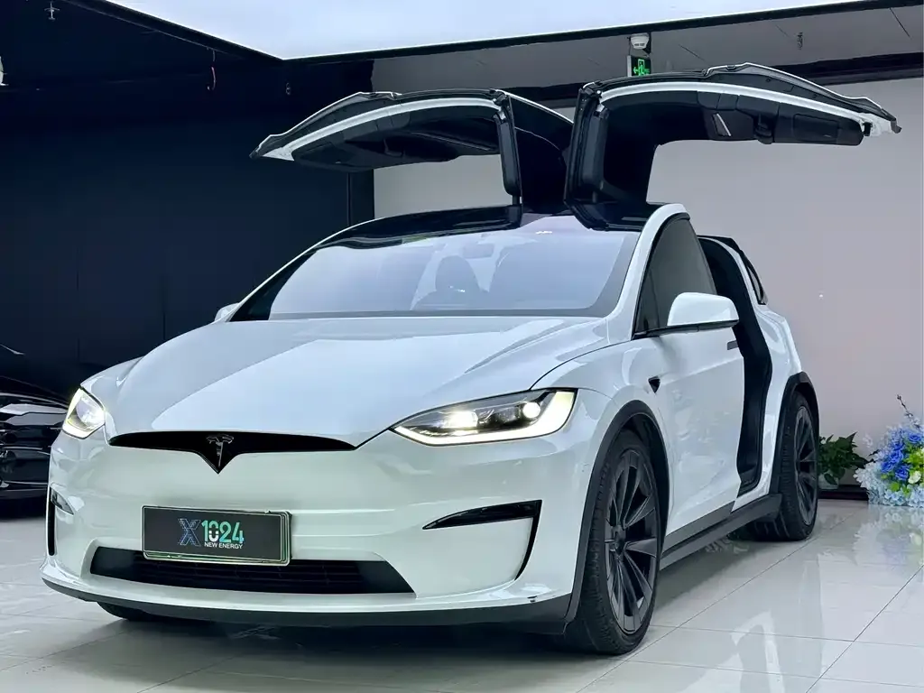 Tesla Model X — фото 1