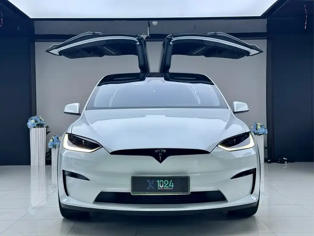 Tesla Model X — фото 2
