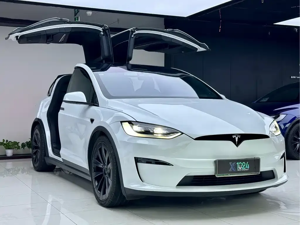 Tesla Model X — фото 8