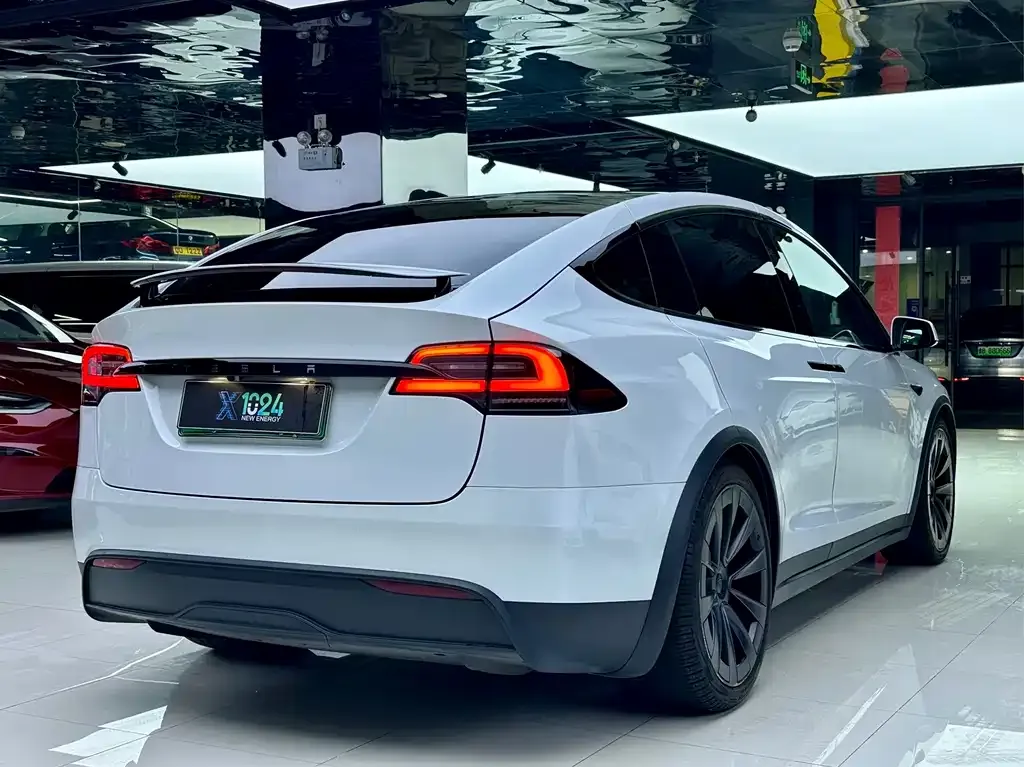Tesla Model X — фото 10