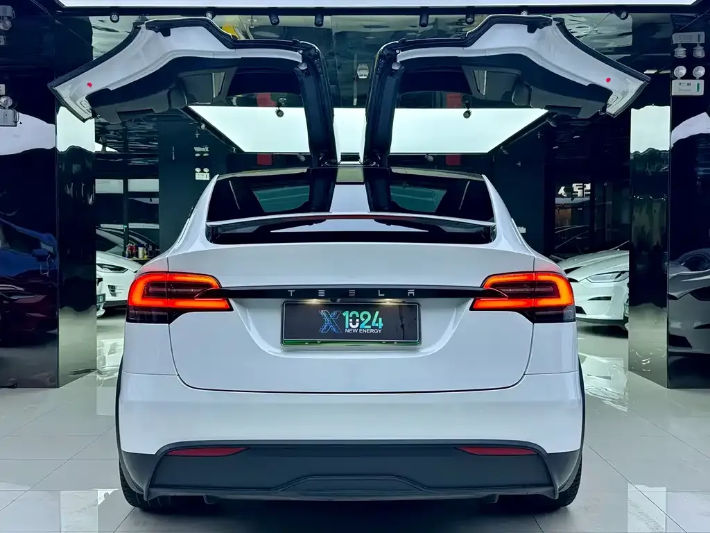 Tesla Model X — фото 5