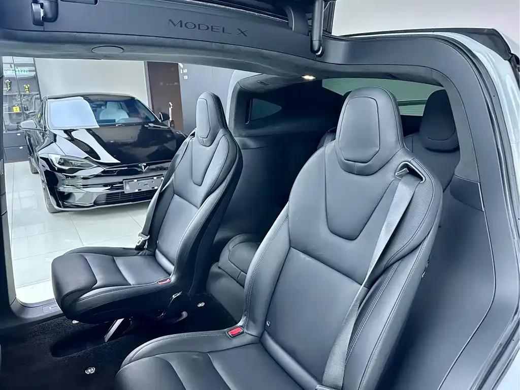 Tesla Model X — фото 6