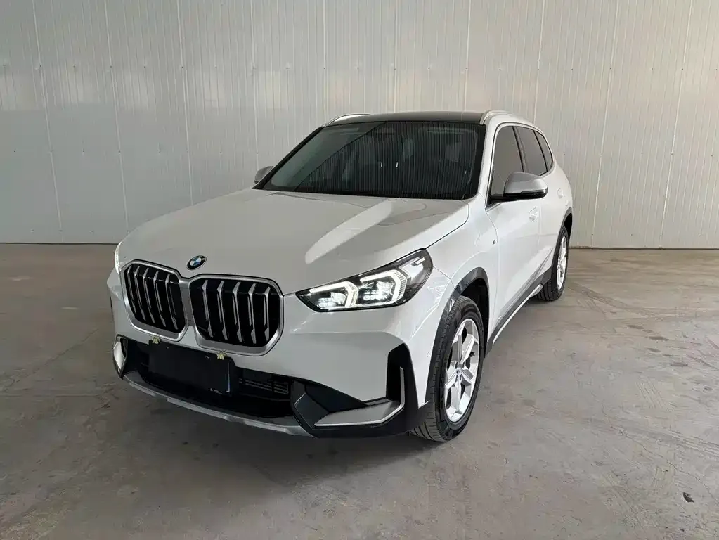 BMW X1 — фото 1