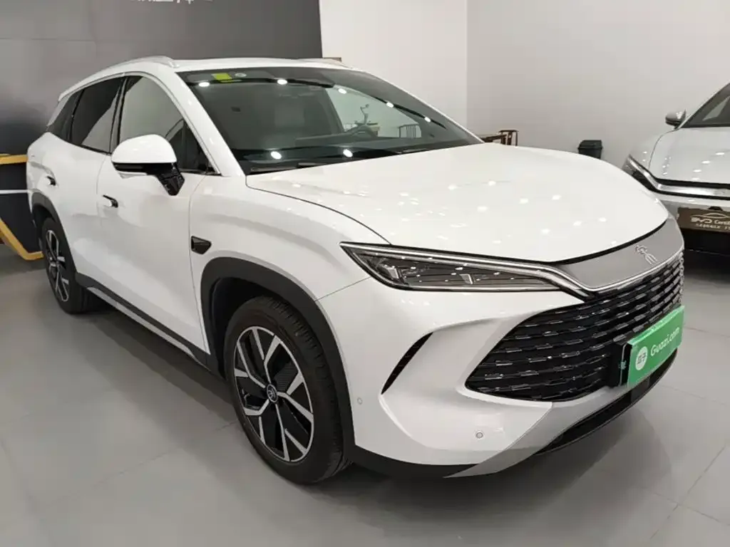 BYD L DM-i — фото 6