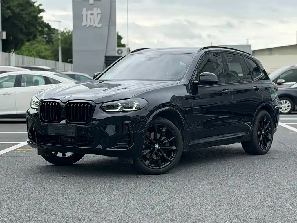 BMW X3 — фото 1