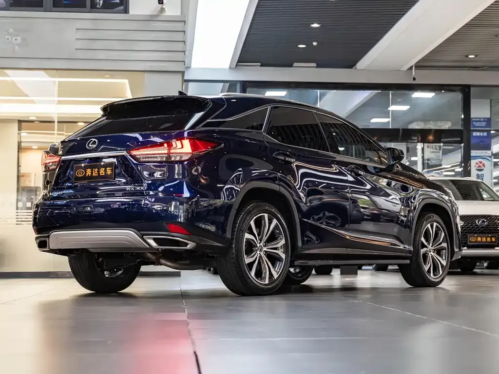 Lexus RX — фото 10