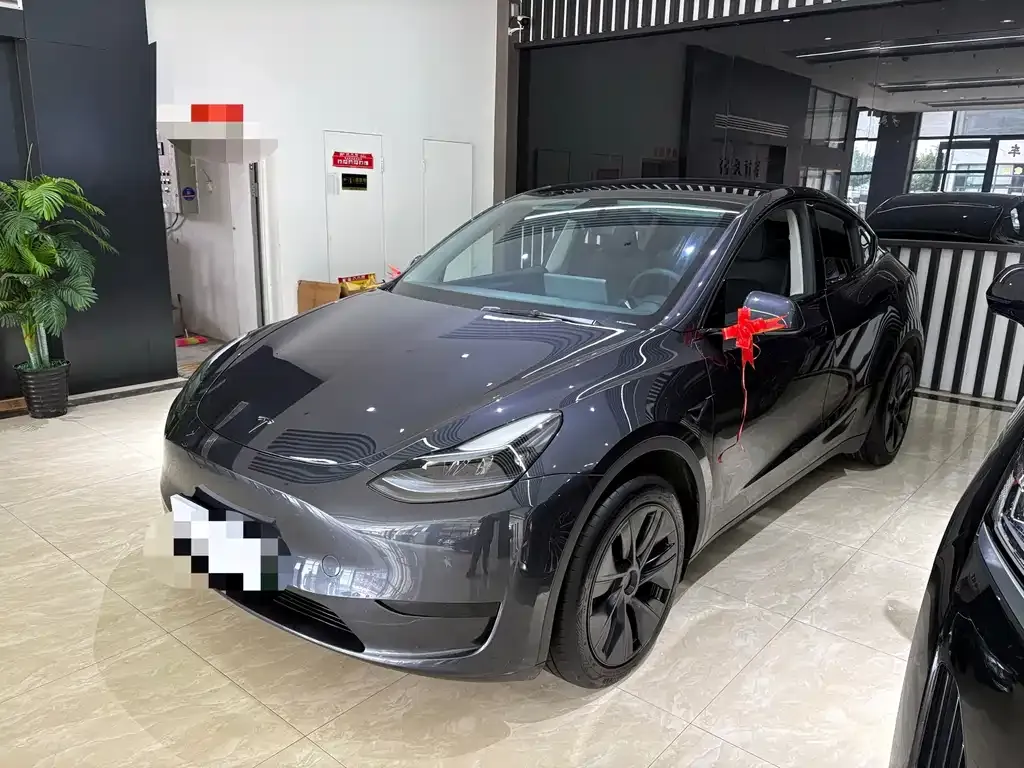 Tesla Model Y — фото 1