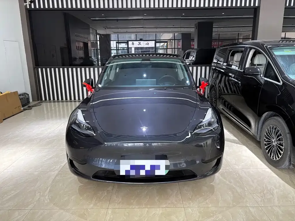 Tesla Model Y — фото 6