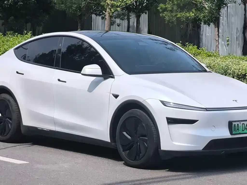 Tesla Model Y — фото 10