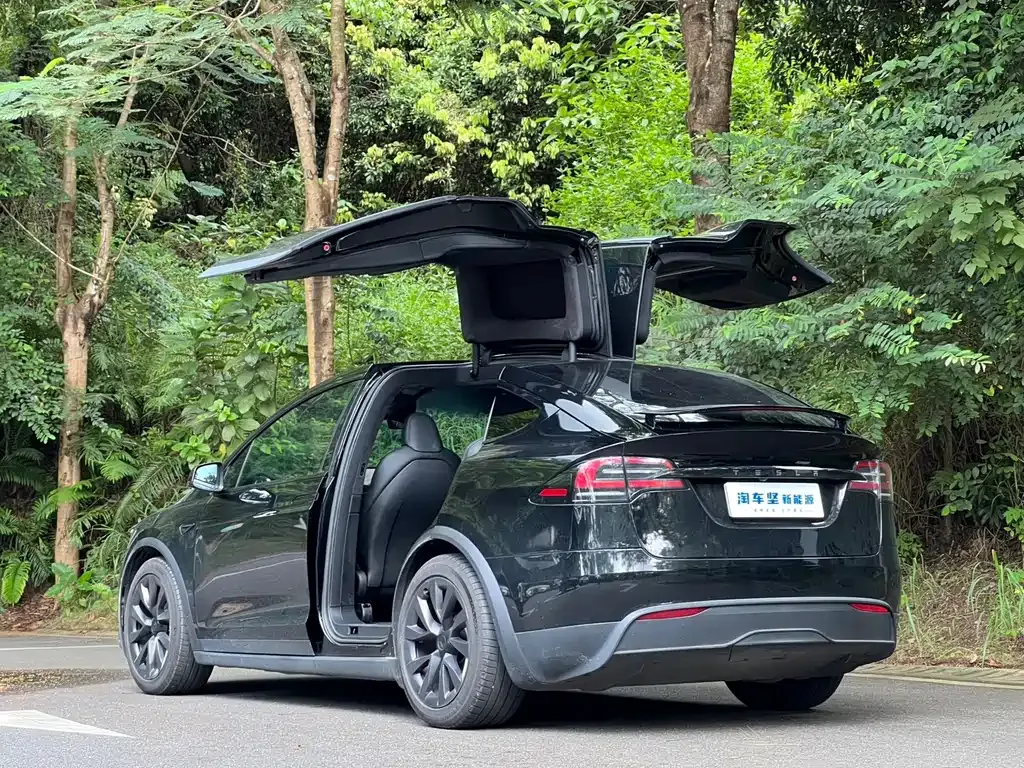 Tesla Model X — фото 5