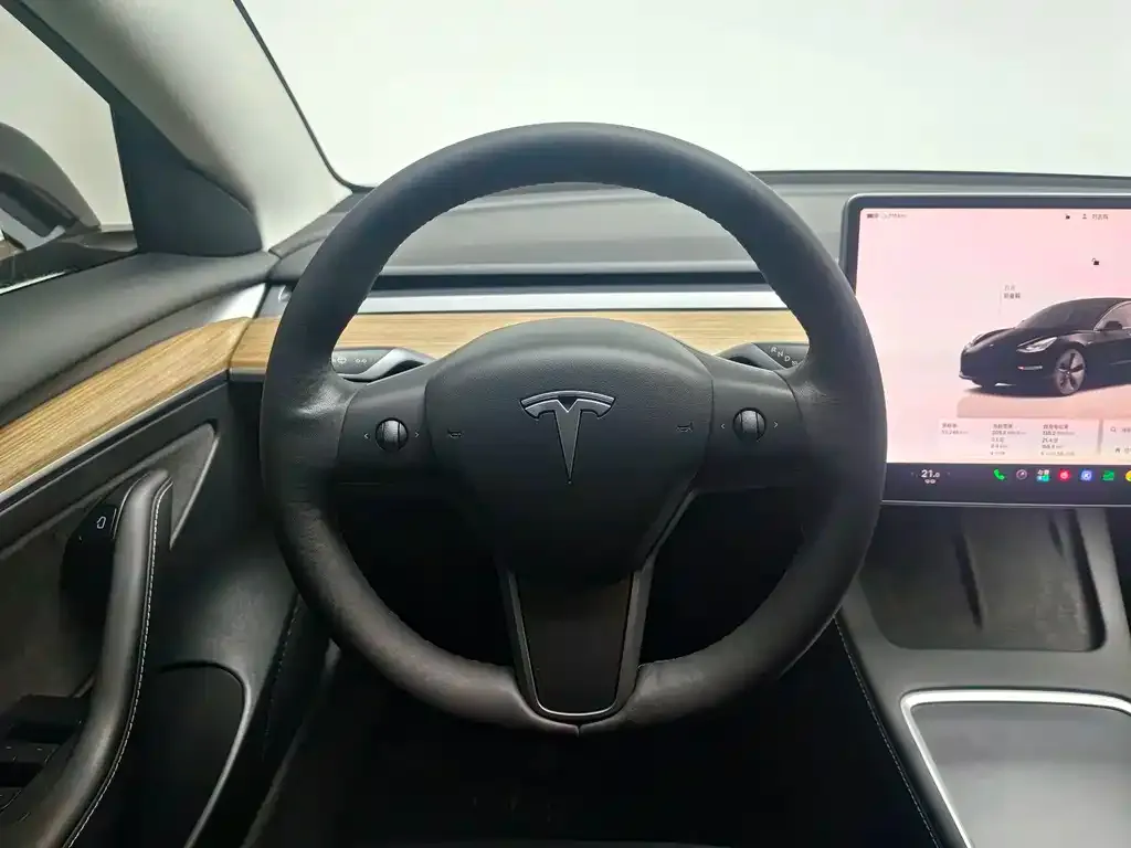 Tesla Model 3 — фото 2