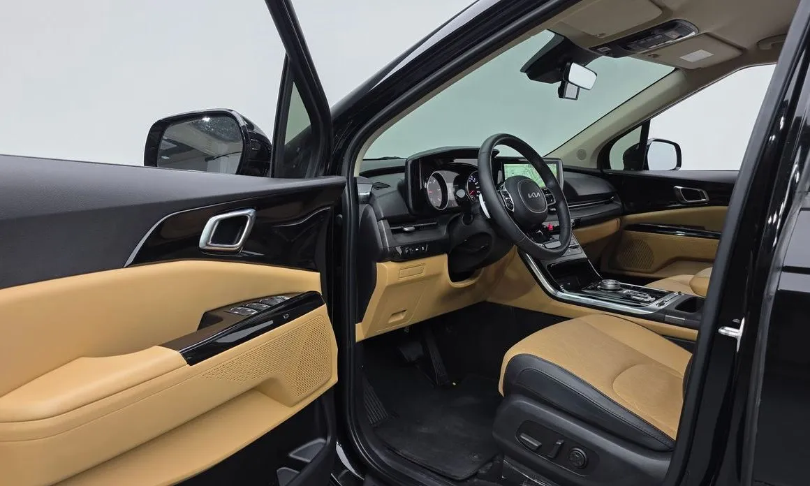 Kia Carnival — фото 10