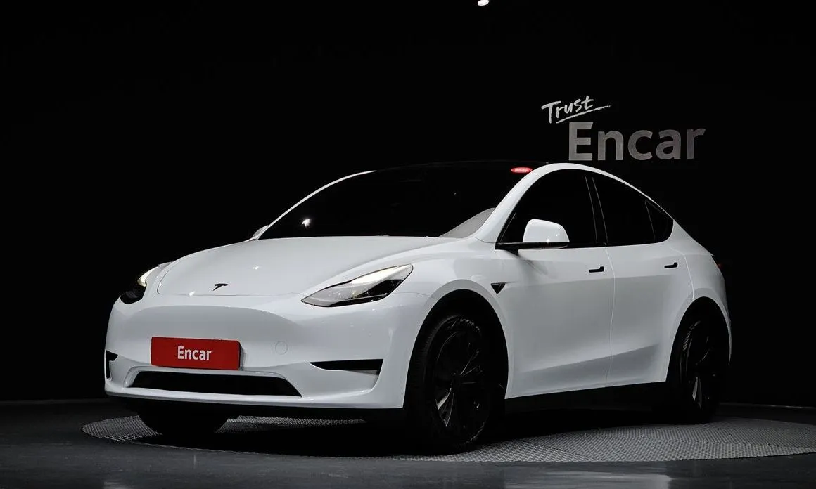 Tesla Model Y — фото 1