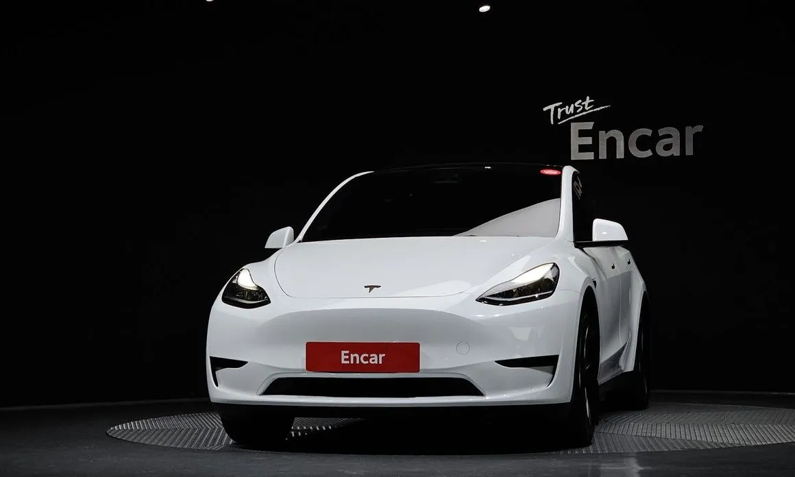 Tesla Model Y — фото 3
