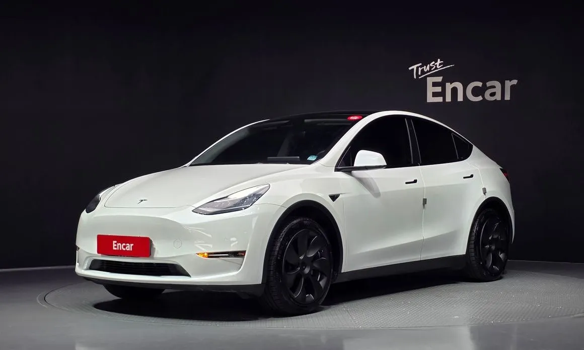 Tesla Model Y — фото 1