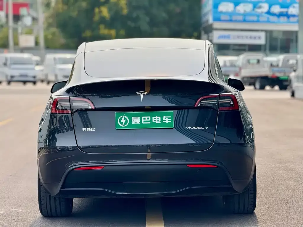 Tesla Model Y — фото 4