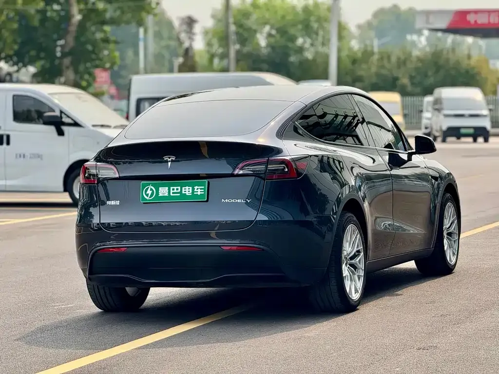 Tesla Model Y — фото 10