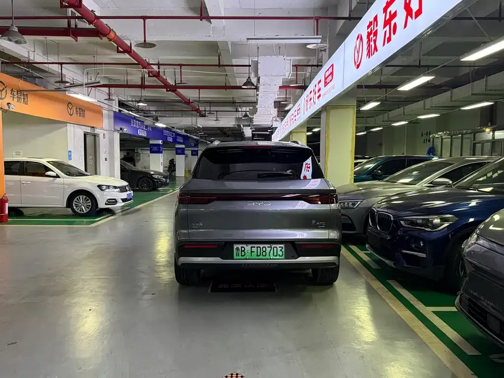 BYD Pro New Energy — фото 6
