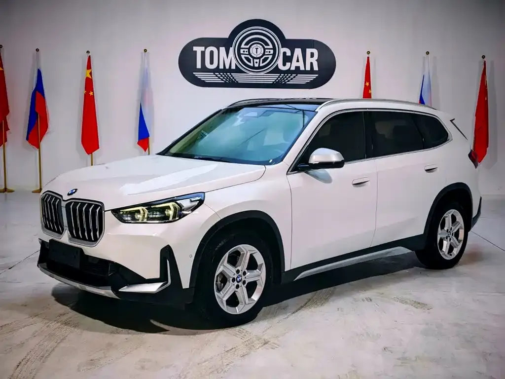 BMW X1 — фото 1