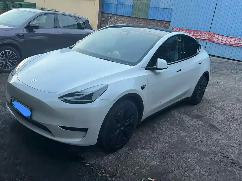 Tesla Model Y — фото 1
