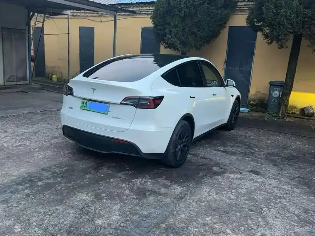 Tesla Model Y — фото 9