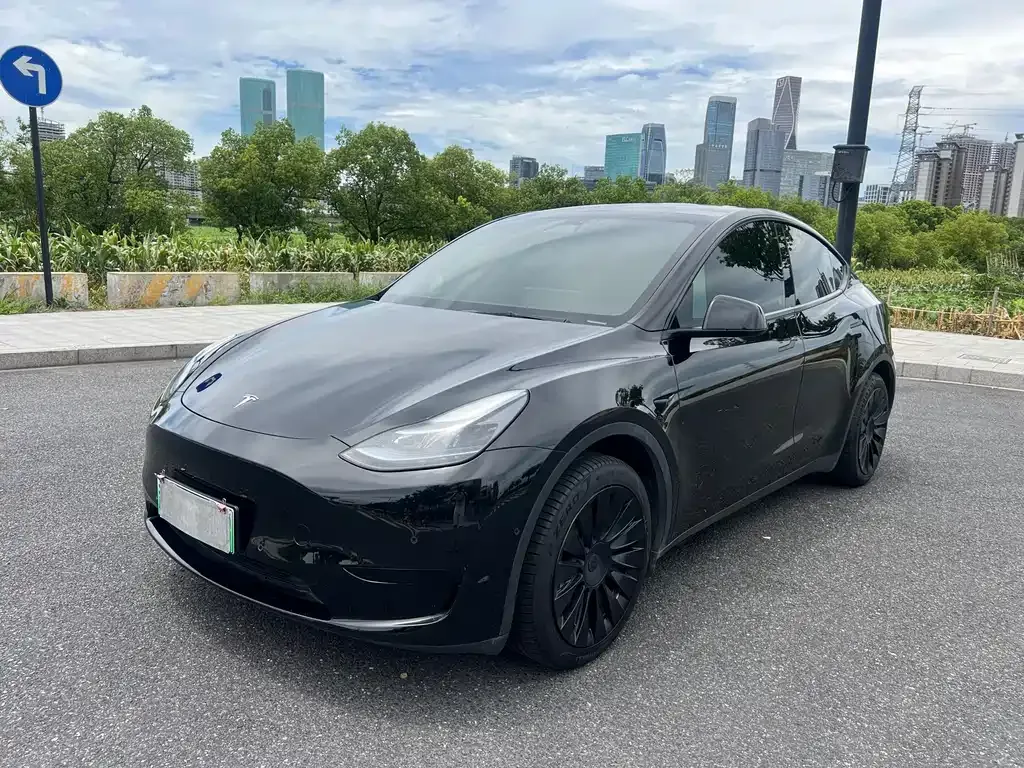 Tesla Model Y — фото 1