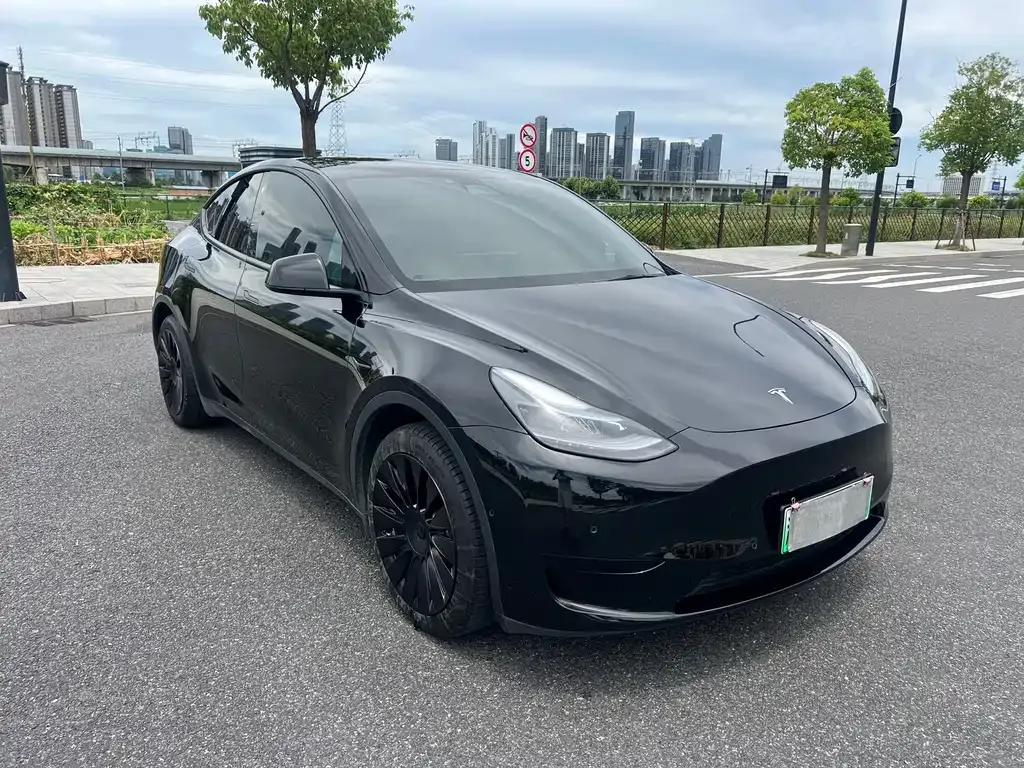 Tesla Model Y — фото 5