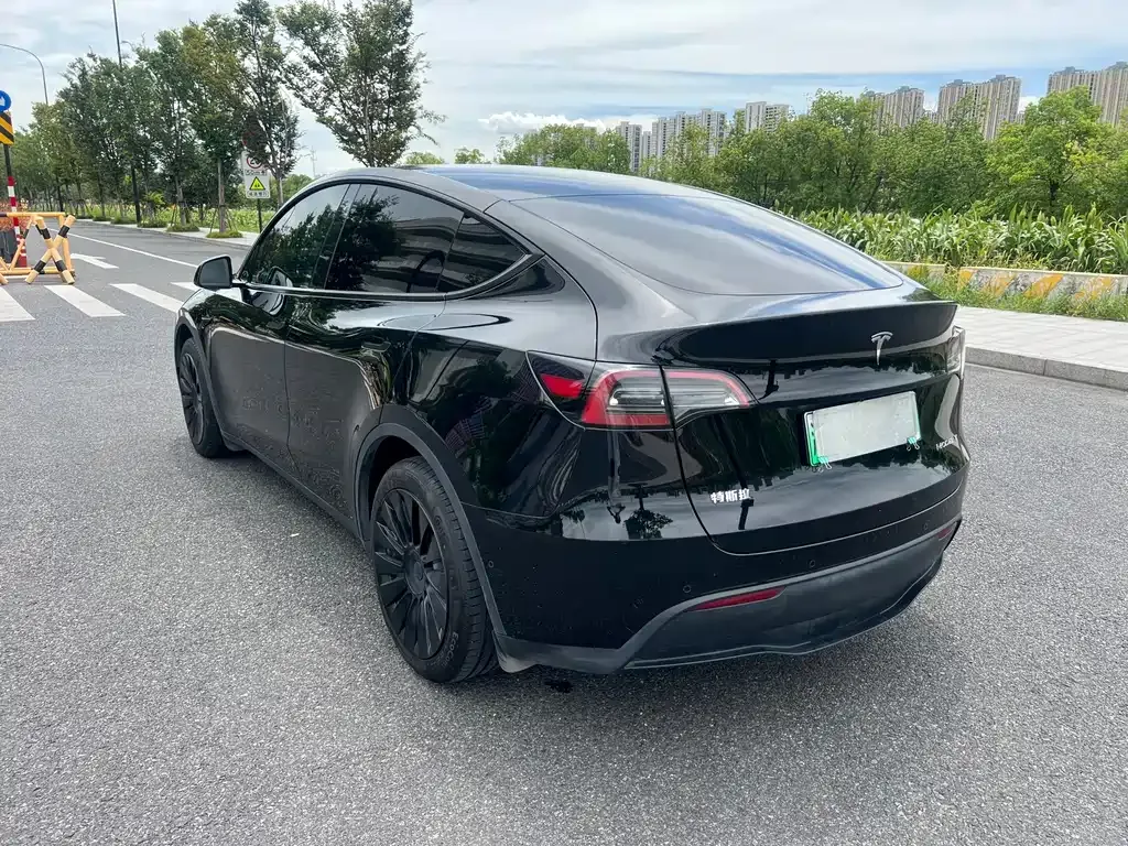 Tesla Model Y — фото 4