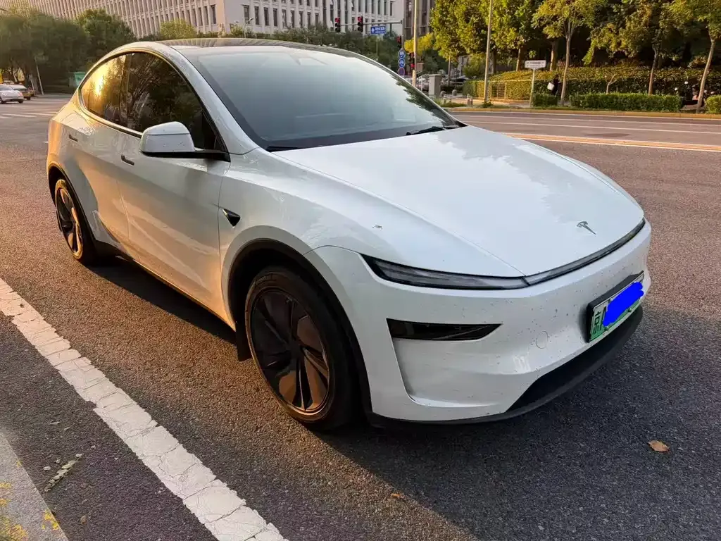 Tesla Model Y — фото 8