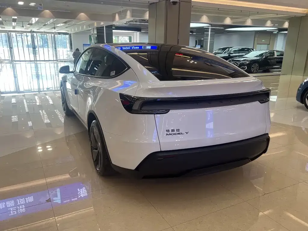 Tesla Model Y — фото 10